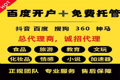 SEO技术突破：某网站流量暴增的背后故事